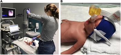 Teaching fiberoptic-assisted tracheoscopy in very low birth weight infants: A randomized controlled simulator study